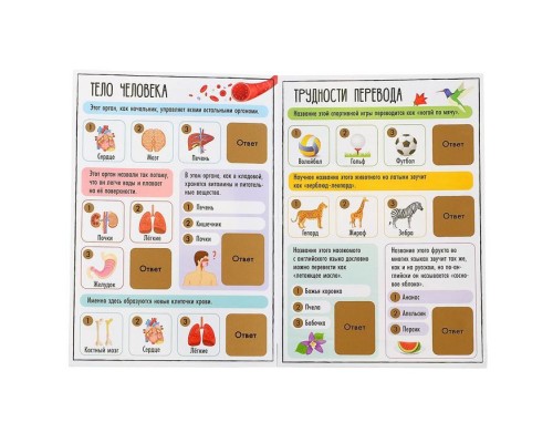 4 вариант 5-6 лет Подарок на день рождения Дуббль + Книга со скретч-слоем + Аппликации + Тату + Леденец + пакет