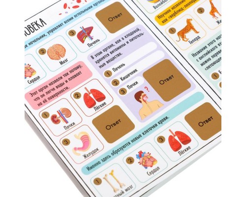 4 вариант 5-6 лет Подарок на день рождения Дуббль + Книга со скретч-слоем + Аппликации + Тату + Леденец + пакет