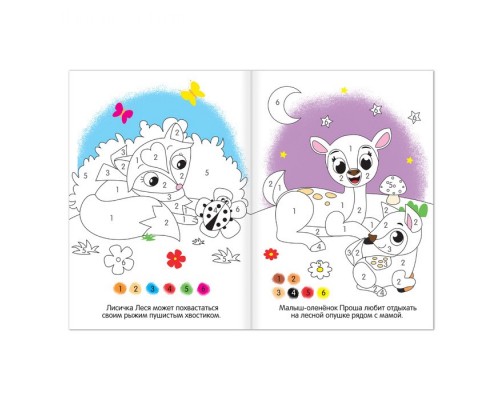 Раскраска «Рисуем по номерам», 12 стр.