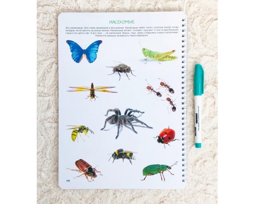 Рабочая тетрадь №0 для детей от года "Познание" Юлия Фишер