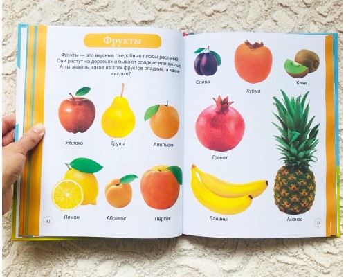 Первая энциклопедия для малыша, БУКВА-ЛЕНД, арт. 4599013