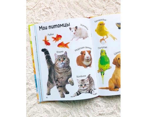 Первые 500 слов малыша, БУКВА-ЛЕНД, первая книжка, арт. 7338844