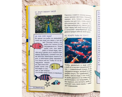 Книга «150 любопытных «Почему?» 7+, БУКВА ЛЕНД, арт. 6755822