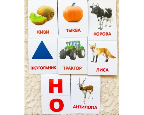 Обучающие карточки на скрепке по методике Г.Домана серия «Первые книжки», 8 штук по 16 стр., 0+
