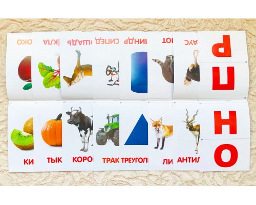 Обучающие карточки на скрепке по методике Г.Домана серия «Первые книжки», 8 штук по 16 стр., 0+