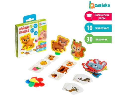 Развивающий набор «Найди общее»