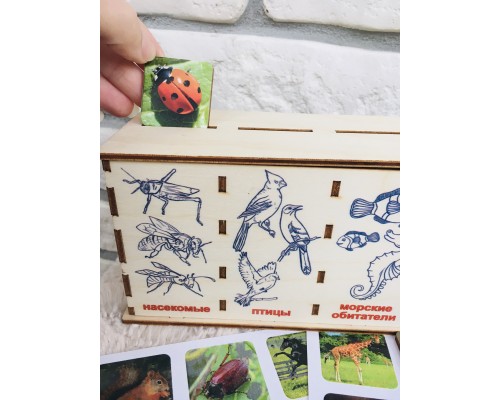 Сортёр сортер-лото "Животный мир"