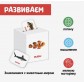 Сортер-копилка "Животные", арт. 5437201 !!!!