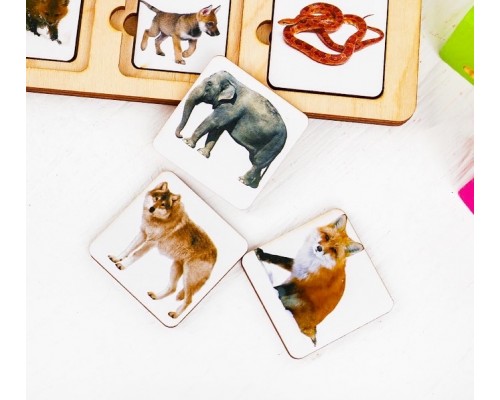 Секретики "Зоопарк"