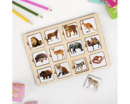 Секретики "Зоопарк"