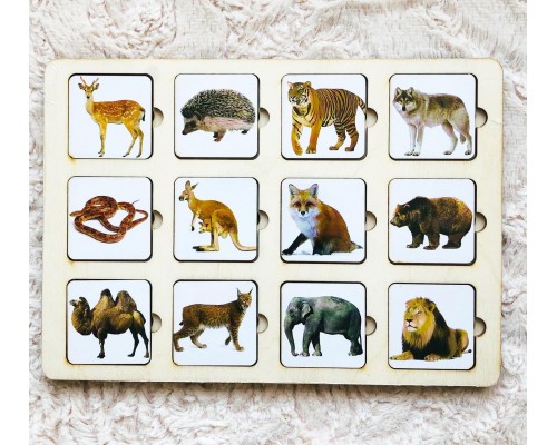 Секретики "Зоопарк"